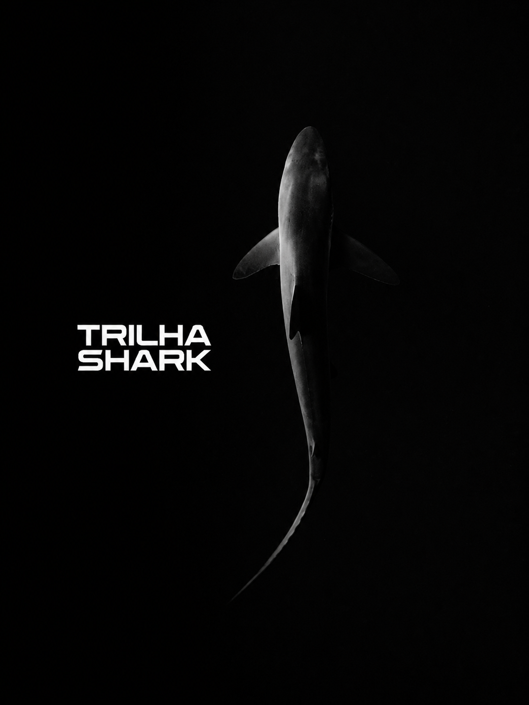 Tubarão visto de cima em silhueta sobre fundo preto com o texto Trilha Shark